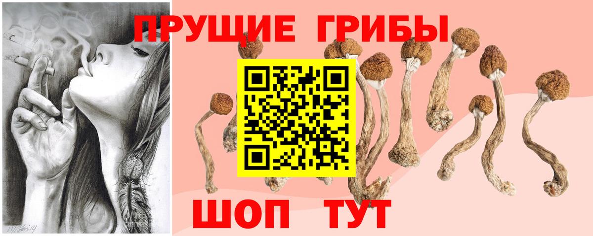 Псилоцибиновые грибы ЛСД  Псилоцибиновые грибы Cubensis  Вход с VPN  Гай 