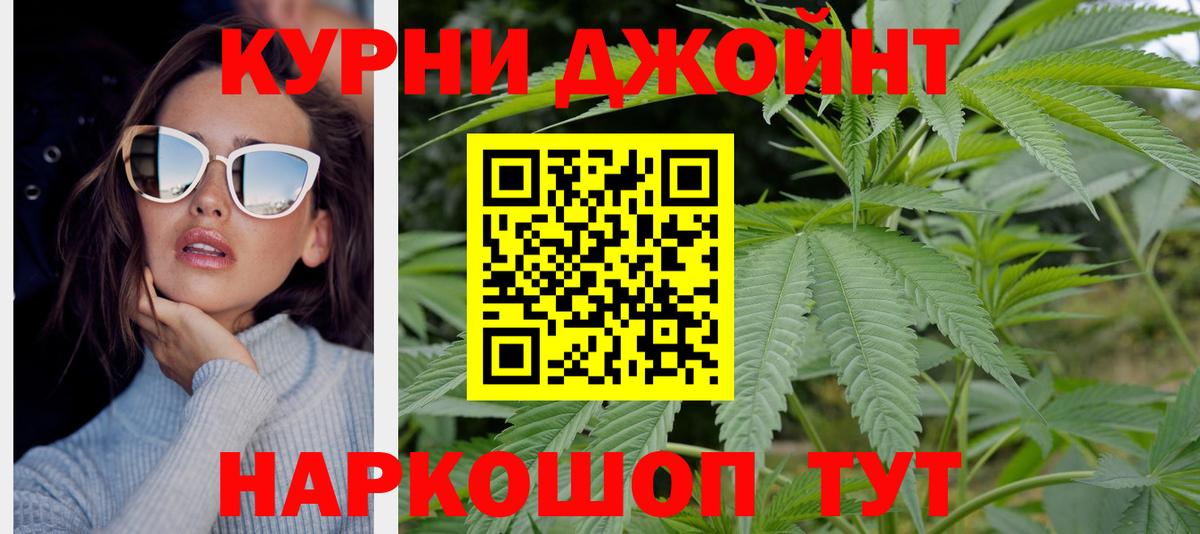 Гай  Шишки марихуана OG Kush  Бошки Шишки OG Kush  Вход с VPN 